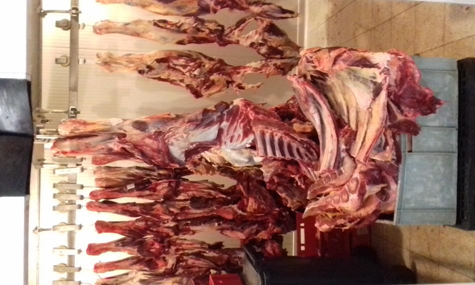 2019-6-17-10278.3. (1).jpg